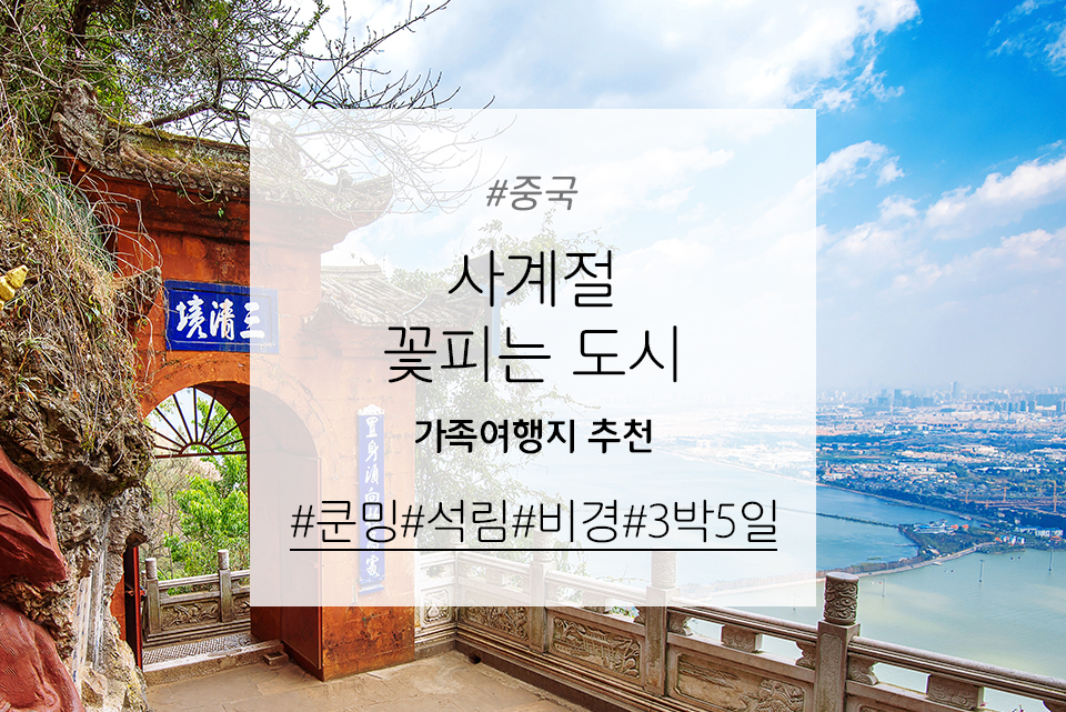 [가족여행지 추천] 사계절 푸르고 꽃이 피는 도시 중국 쿤밍 #3박5일