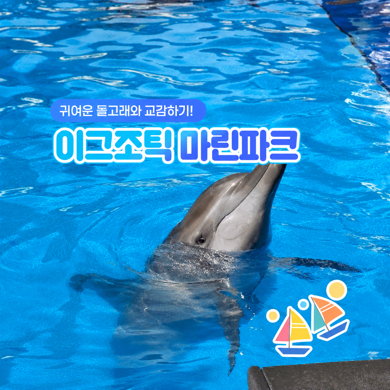 발리 이그조틱 마린파크│