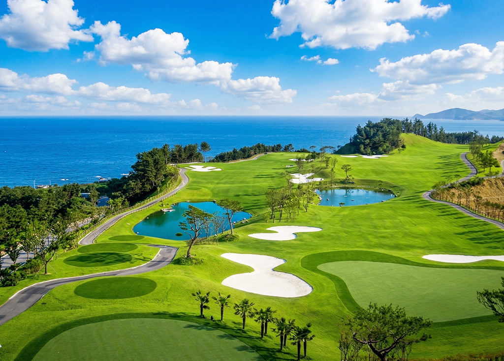 오션비치CC 숙박