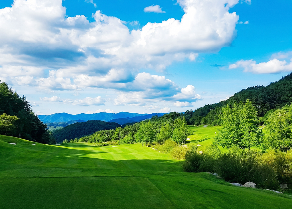 웰리힐리CC 코스