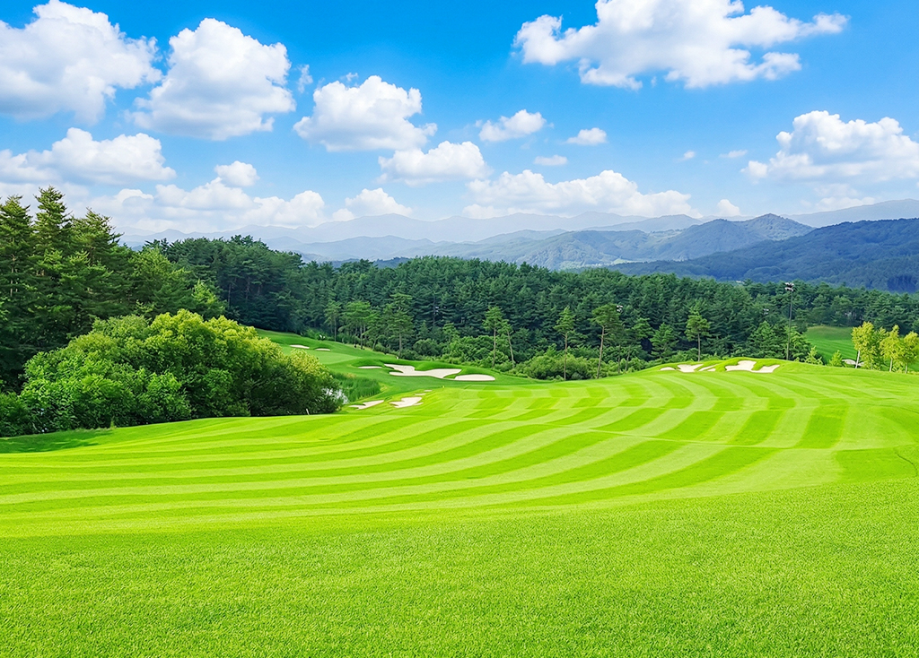 웰리힐리CC 코스