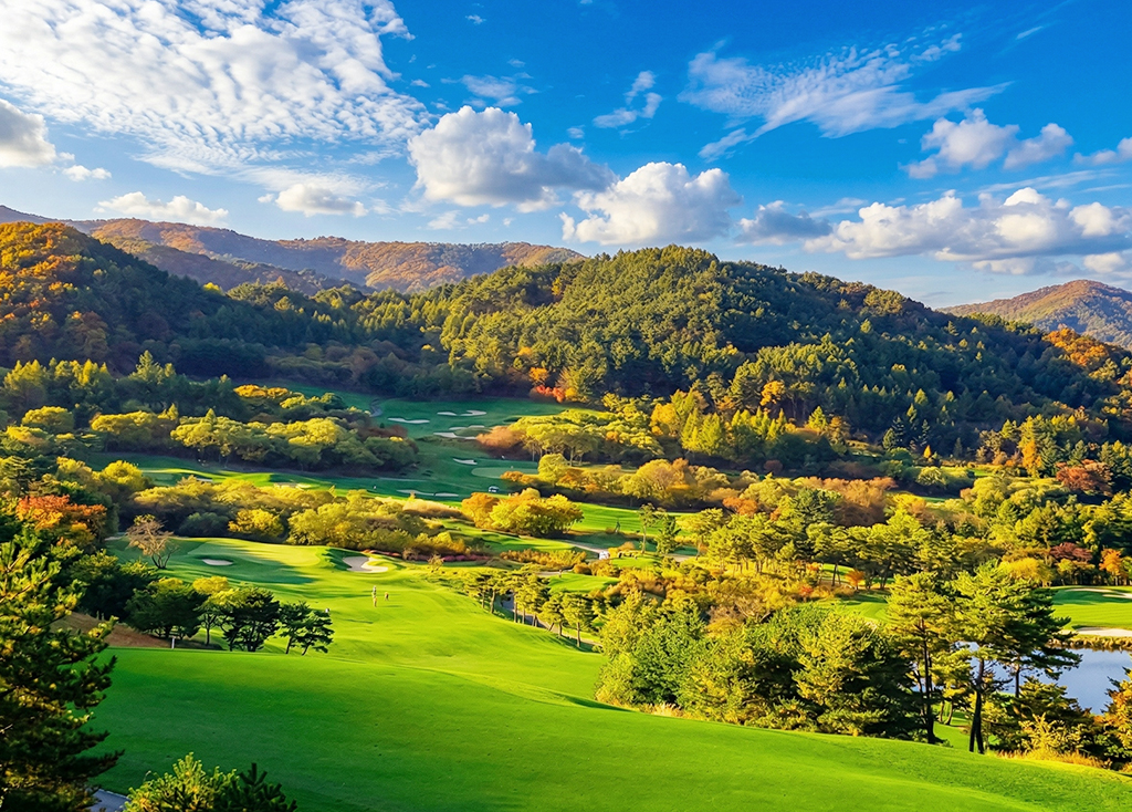 웰리힐리CC 숙박