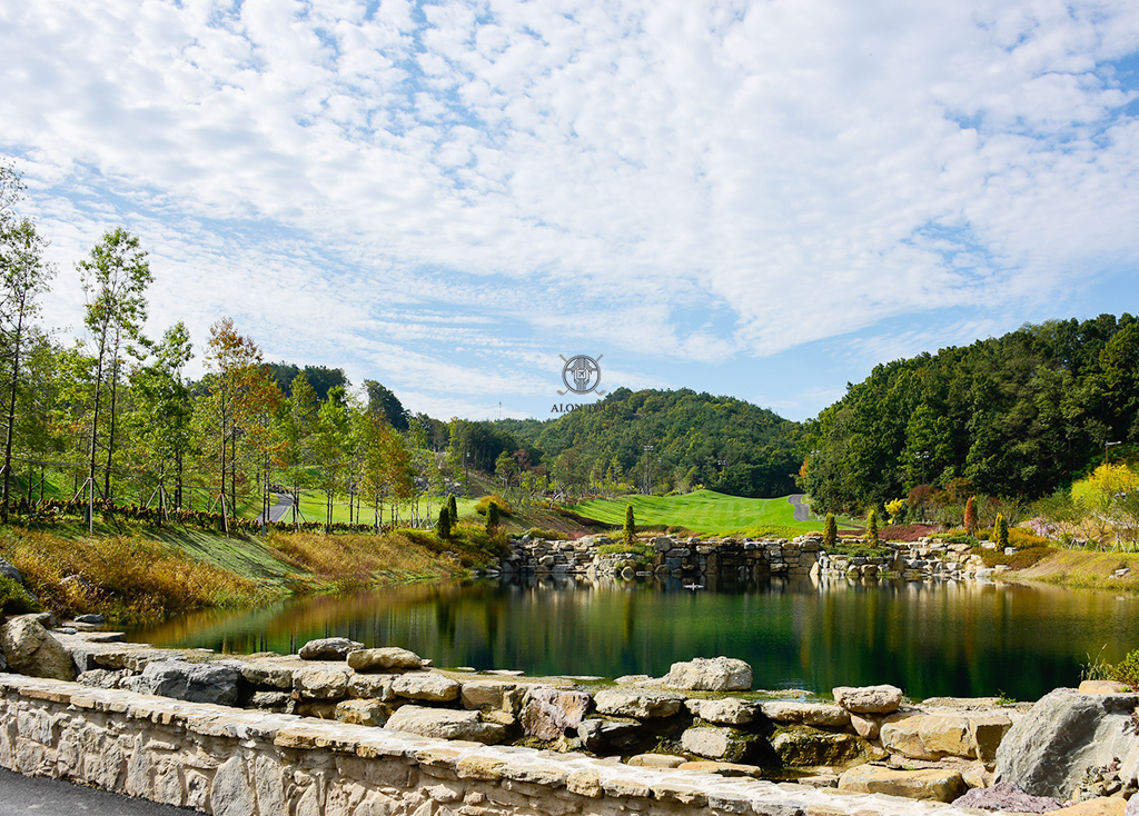 일라이트CC 코스