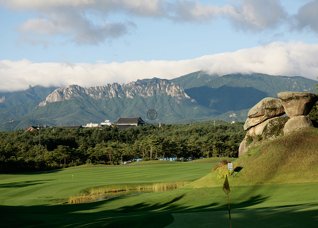 파인리즈CC 코스