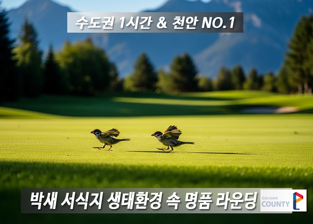 골프존카운티천안CC 코스