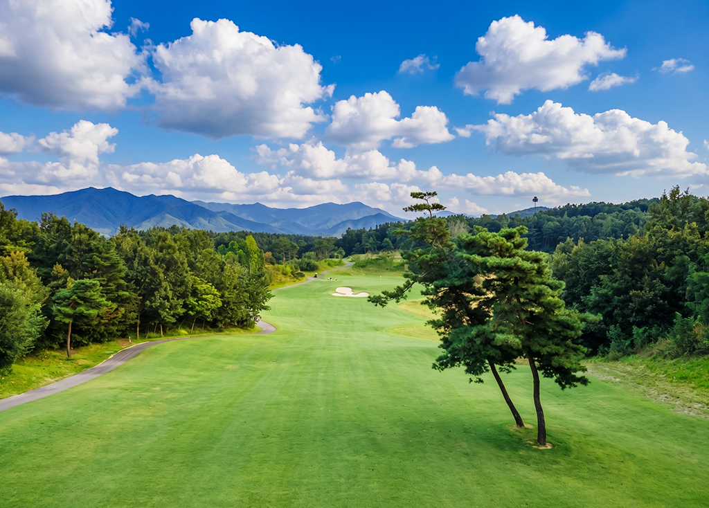 클럽디보은CC 코스