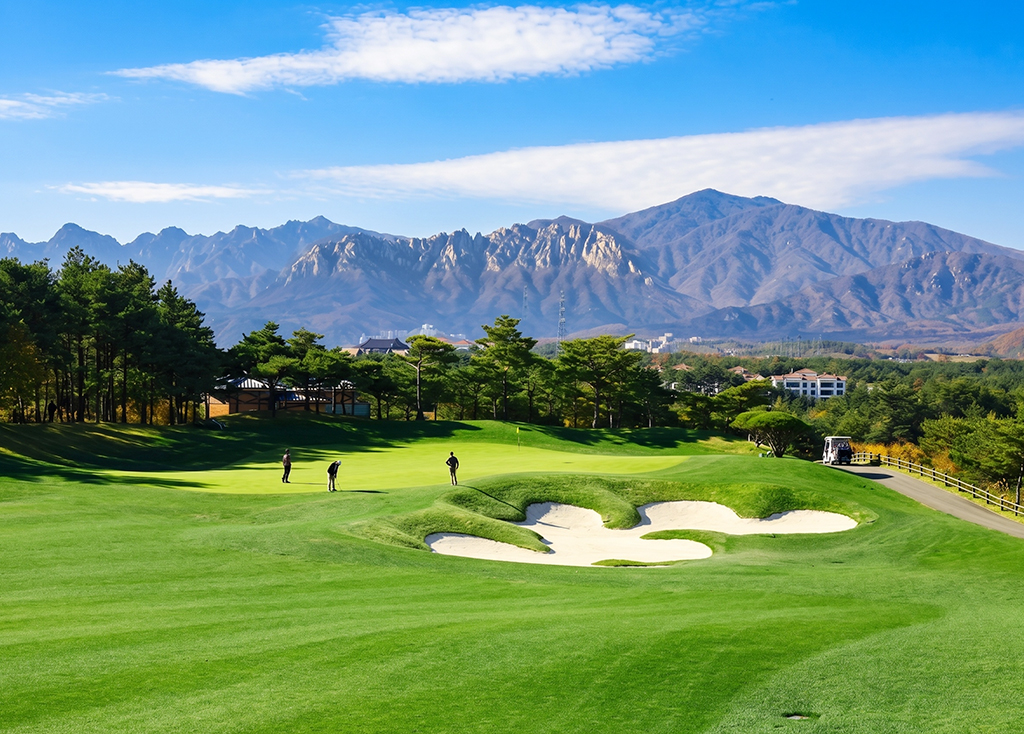 파인리즈CC 코스