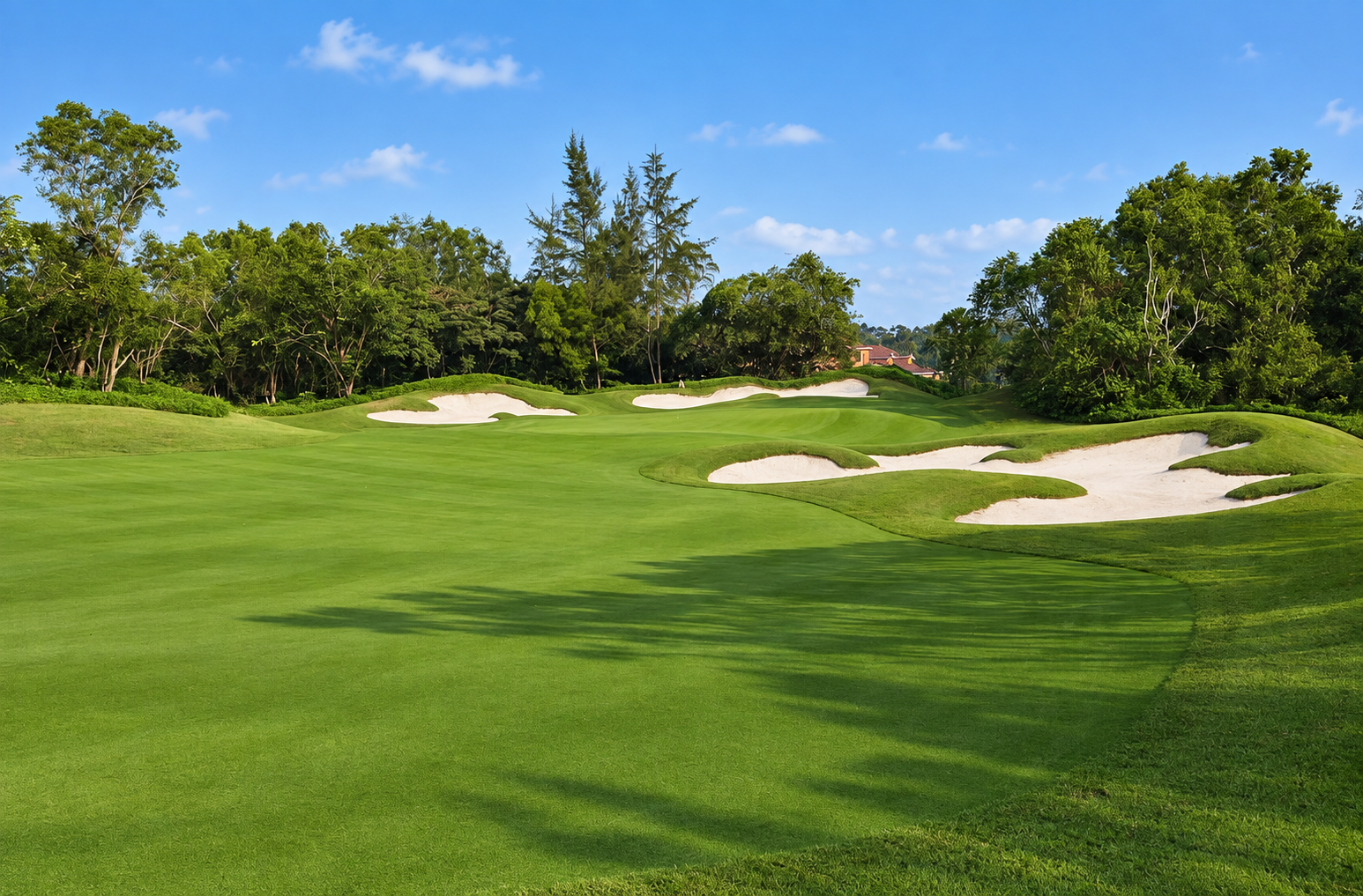 [중국] 하이난골프 | 해구 BFA & 남양하CC 5일/6일