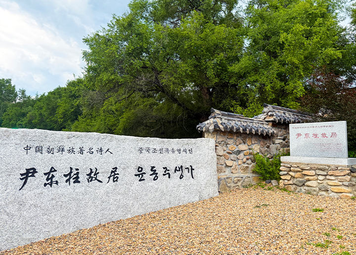 4일차 대표 사진