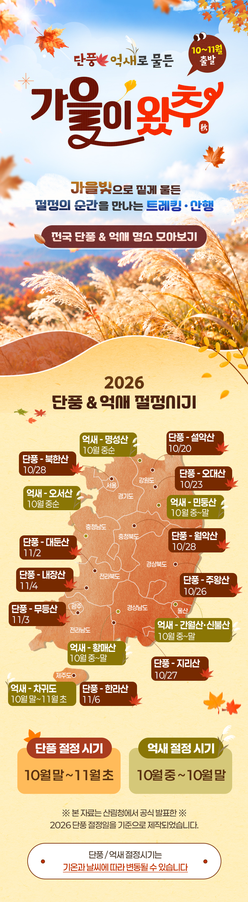promotion image