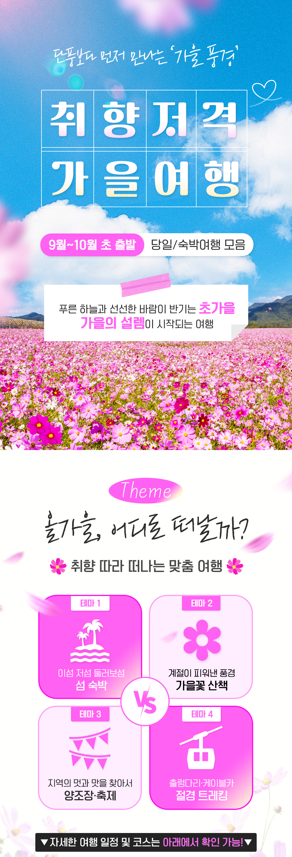 promotion image