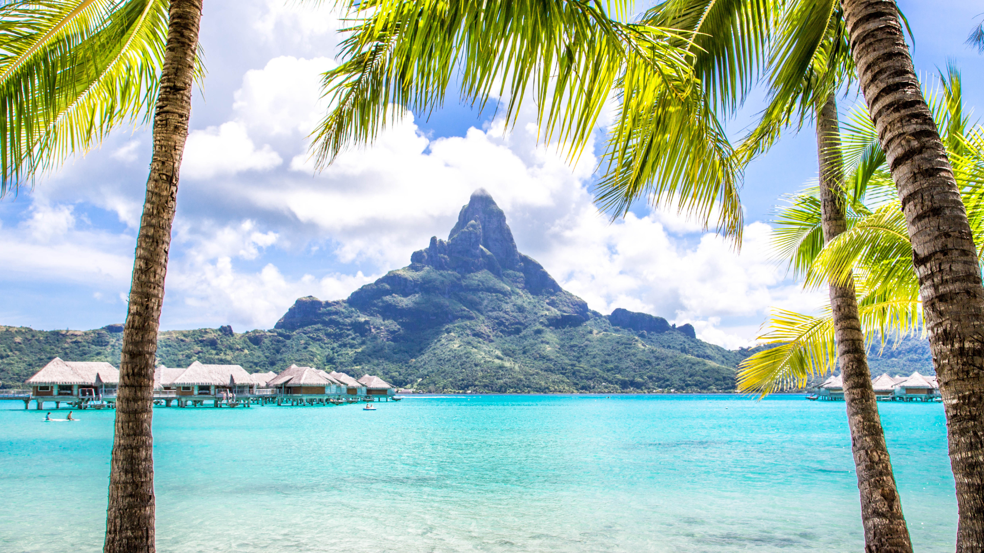 2026년 하와이 + 타히티 크루즈 여행