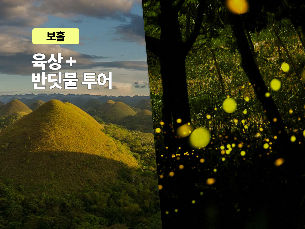 [보홀트래블] 보홀 데이투어 (육상+반딧불투어)