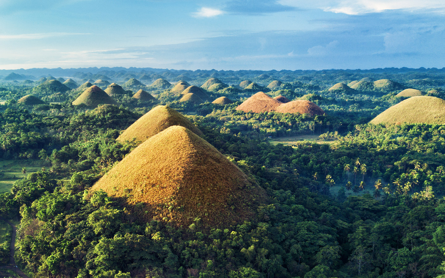 [보홀트래블] 보홀 육상투어  (로복강,초코렛 힐,ATV, 안경원숭이, 맨메이드, 짚라인 등)