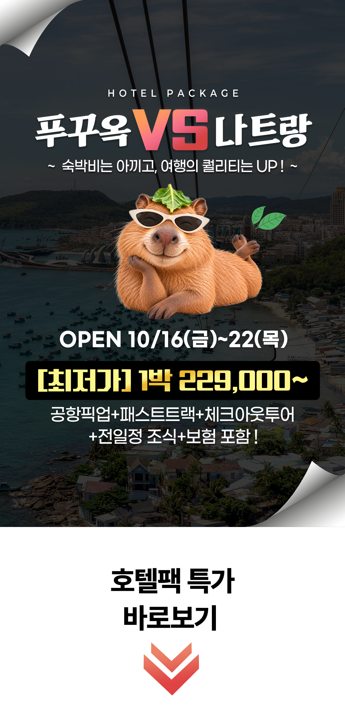 promotion image
