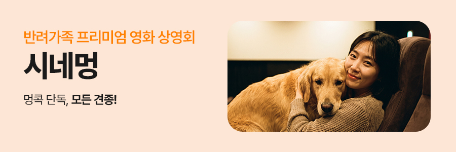 promotion image
