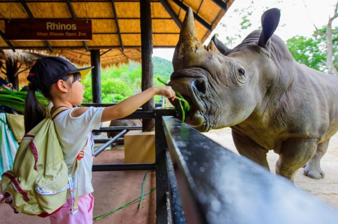 파타야 카오키여우 오픈 주 반일 단독 투어 (한국어 기사) ( Pattaya  Khao Kheow Open Zoo Private Tour + Korean Speaking Driver )