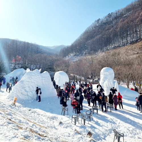 무궁화호 태백산 눈 축제·협곡 열차 눈꽃기차여행(청량리 출발)