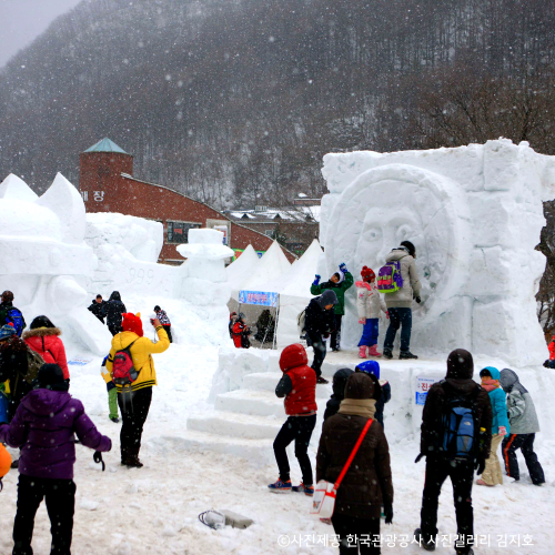 무궁화호 태백산 눈 축제·협곡 열차 눈꽃기차여행(청량리 출발)
