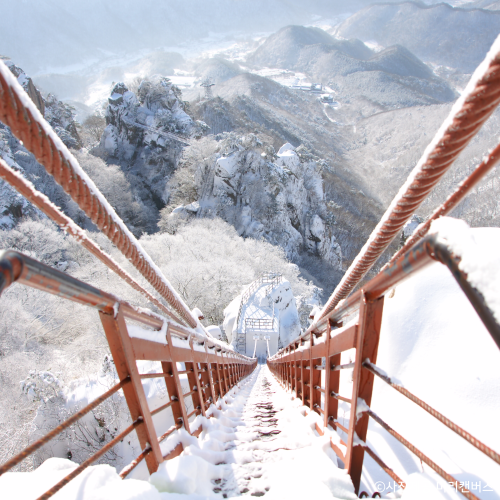 KTX대둔산·뿌리공원·하늘물빛정원 눈꽃기차여행(수원출발)