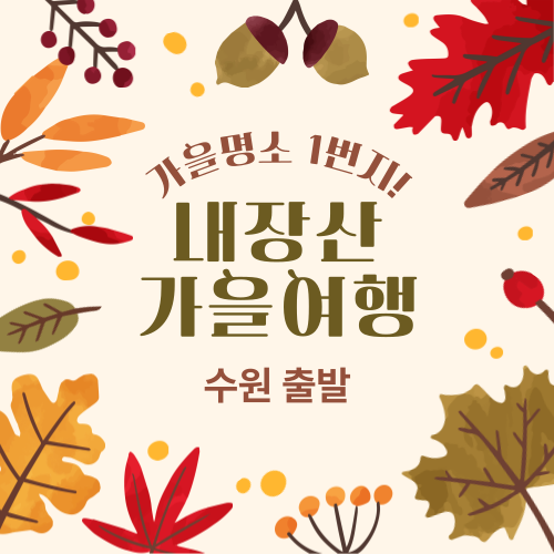 ITX-새마을호 가을 명소 1번지! 내장산 기차여행(수원출발)