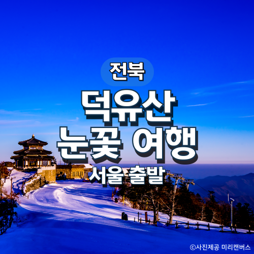 KTX덕유산·무주구천동·하늘물빛정원 눈꽃기차여행(서울출발)