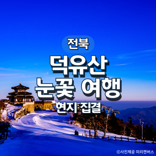 덕유산·무주구천동·하늘물빛정원 눈꽃여행(현지집결)