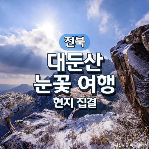 대둔산·뿌리공원·하늘물빛정원 눈꽃여행(현지집결)