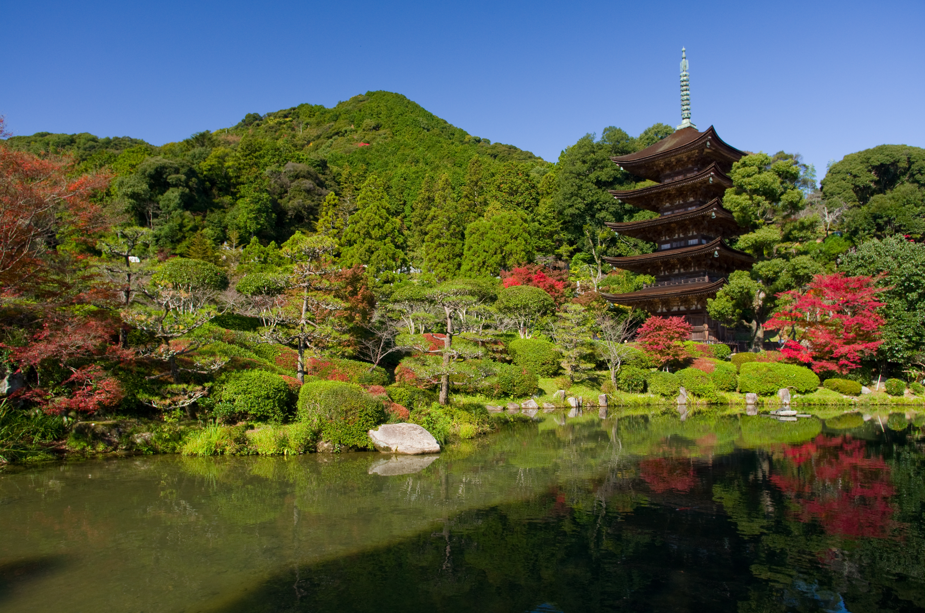 https://media.eoding.com/media/travelagent/866/imagecontent/D_01_rurikoujigojunotou_11_04_fTjmTAH.jpg
