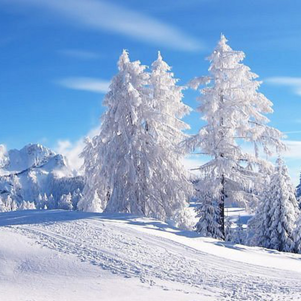 [겨울몽골] 미니사막+카라코롬+어기호수+테를지/겨울중부,3박4일 시그니처